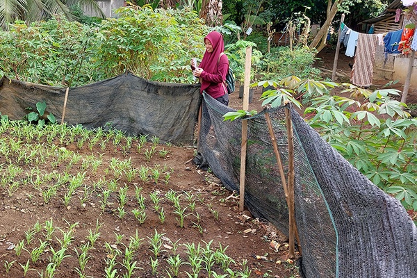 Help Forest Communities Feed their Families
